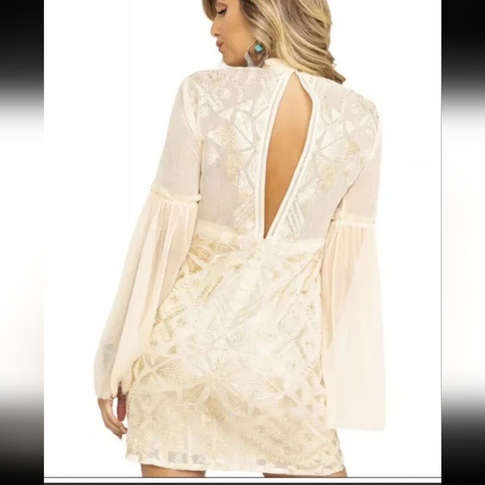 NEW Free People Women Size 2 Cleo Neutral Embroidered Mini Dress NWT $300 - Picture 2 of 2